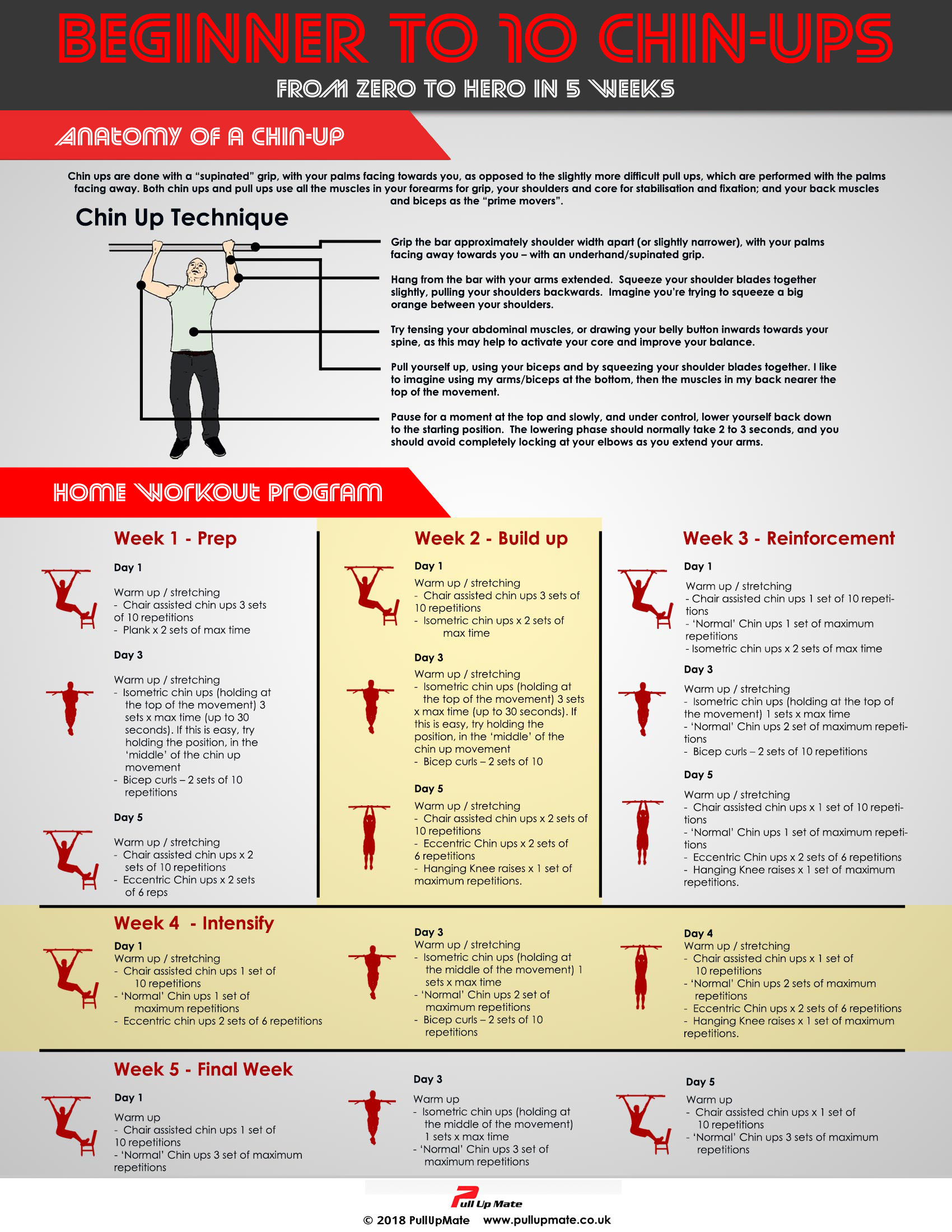 Chin Up Workout Infographic Pull Up Mate