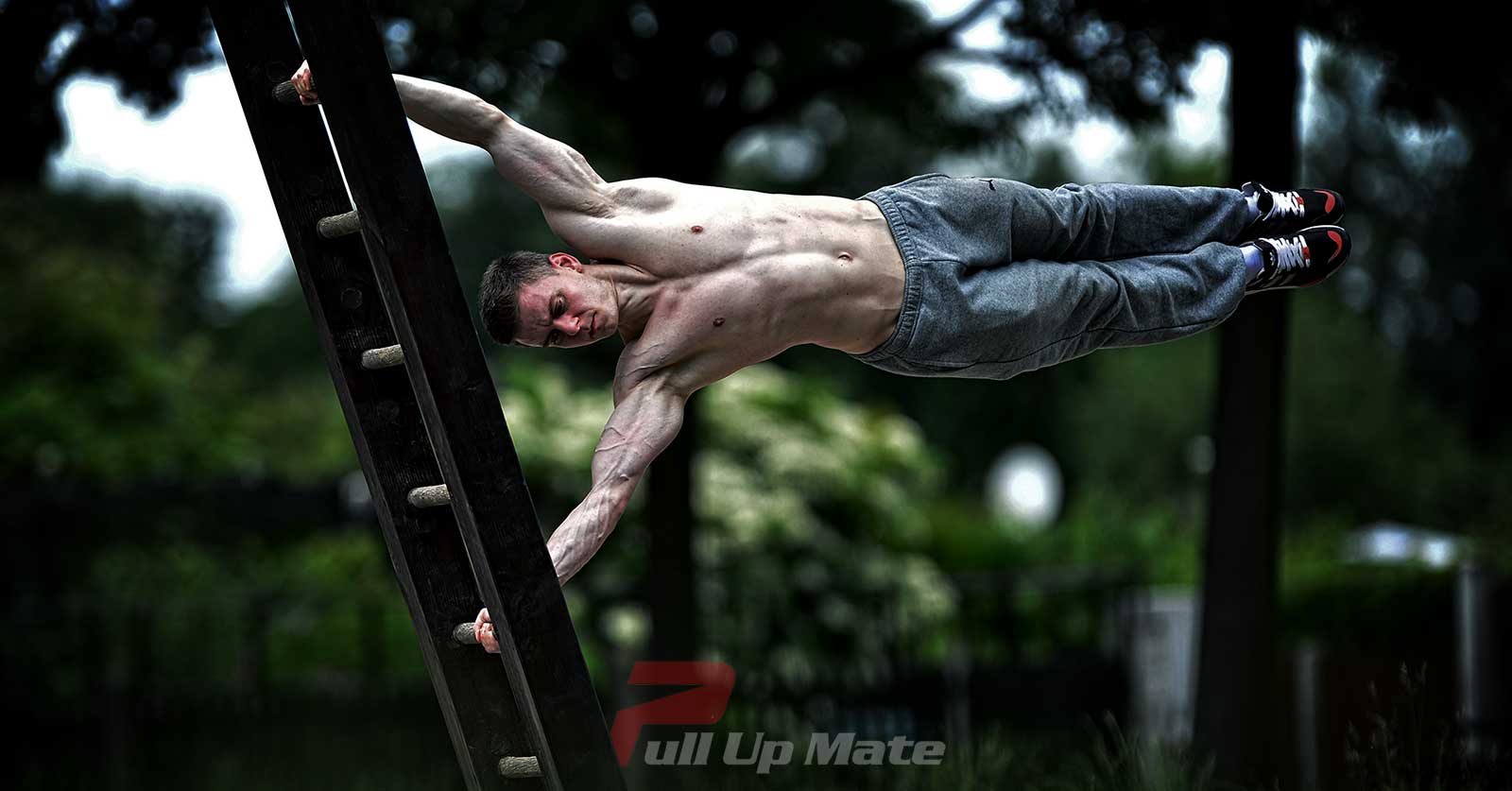 Calisthenics: Complete Step by Step Workout Guide to Build Strength  (Accelerated Beginner's Guide to Calisthenics and Strength)